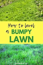 Ants' mounds, other insects' activity or disease problems with your lawn could be the reason behind a lumpy lawn. Pin On Gardening