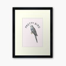 Portrait of a waxwing bird sitting on a branch on white background, hand drawn sketch. Pretty Bird Framed Art Print By Steveningram Redbubble