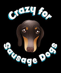 Here you can explore hq miniature dachshund transparent illustrations, icons and clipart with filter setting like size, type, color etc. Miniature Dachshund Sausage Dog Gift Digital Art By Philip Anders