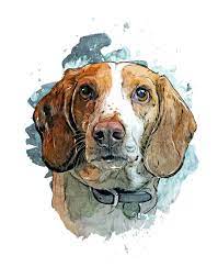 Maybe you would like to learn more about one of these? Custom Pet Portrait Watercolor Dog Painting Digital Pet Art Animal Illustration Poster Pet Memorial Portrait Dog Lover Gift Schnauzer Watercolor Dog Dog Paintings Pet Portraits