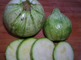 What does bad yellow squash look like? Round Bush Zucchini Squash Seeds