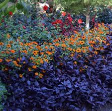 I M Back Home After Several Days In Vancouver Canada The Highlight Of The Trip Was Vandusen Garden Inspiration Botanical Gardens