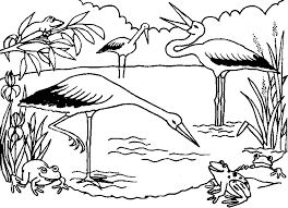 Ecosystem Coloring Page Az Coloring Pages Coloring Pages Cute Coloring Pages Desert Animals Coloring