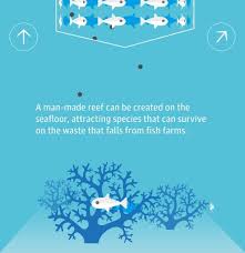 The Fish Farm Of The Future Interactive Animation Illustration Interactive Environment Guardianuk Fish Farming Interactive Interactive Websites
