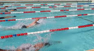 CAMPEONATO PROVINCIAL DE NATACIÓN: EL SÁBADO SE DISPUTARÁ LA ÚLTIMA FECHA  La quinta y última fecha del Campeonato Provincial de Natación, que  organiza y fiscaliza la Federación Misionera de Deportes Acuáticos  (FEDEMIDDA),