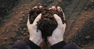 But the more you turn it, the more you're making sure that every component of your compost is getting equal access to the microorganisms in the soil the answer lies within you as well, we need to know your needs, your space, and how much material you intend to compost. How To Use Compost As Fertilizer