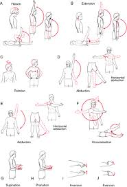 Pictures Of Exercises For Stroke Patients Range Of Motion