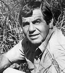 Alvin and the Chipmunks (film)