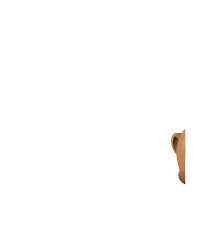 Studyladder Online English Literacy Mathematics Kids Activity Games Worksheets And Lesson Plans Activities For Kids Literacy Mathematics