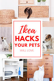 Ikea Hacks Your Pets Will Love Ikea Hack Ikea Diy Ikea Hacks
