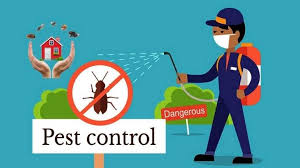 Pest Control Southwark Swiftkill Pest Control Pest Control Services Best Pest Control Termite Control