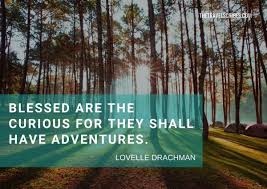 Camping Quotes 200 Of The Best Camping Captions For Instagram