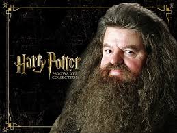 Harry Potter's Hagrid Hospitalized in Orlando