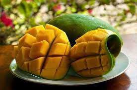 Mangga jenis ini merupakan salah satu varietas unggul yang telah disahkan oleh disebut mangga harum manis karena dari rasa yang harum dan manis saat buah matang yang ini menjadi ciri khas mangga harum manis sesuai. Mangga Harum Manis 2017 Home Facebook