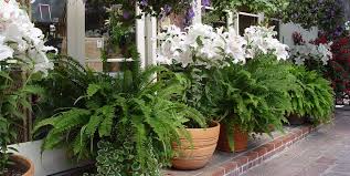 Collection by connie collins • last updated 3 weeks ago. Patio Landscaping Landscaping Network