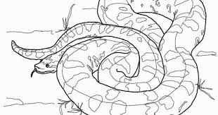 Explore the south american jungle with your youngster and discover one of the world s longest snakes with an anaconda coloring page. Coloring Pages Coloring Pages Anaconda Printable For Kids Adults Free