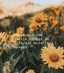 Quoteoftheday Quote Sunflower Flower Loveyourself Love Sunflower Quotes Instagram Quotes Flower Quotes