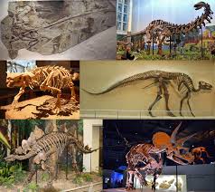 Dinosaur Wikipedia