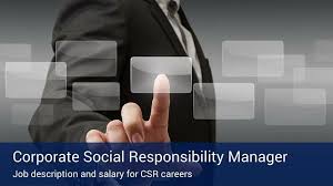 Financial inclusion manager job purpose: Corporate Social Responsibility Manager Job Description And Salary Villanova University
