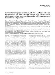 Image result for Aloe komatiensis