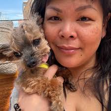 Where to buy or find red worms for composting