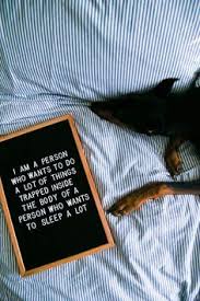 California earthquake sends boulders tumbling onto major highway. 370 Letter Board Quotes Ideas In 2021 Felt Letter Board Felt Letters Letter Board
