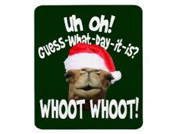 Also camel transparent hump day available at png transparent variant. Hump Day Camel Clip Art Best Free Library