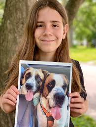 I would love to pet Toby and Moose. Toby is a 9 year old Great Pyrenees,  Anatolian Shepherd mix. Moose is a 5 year old Saint Bernard. They like to  chase each