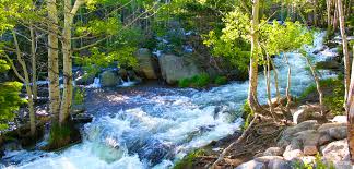 Open for sunday brunch from 10a. Estes Park Restaurants Estes Park Lodging Hotels Cabins Restaurants Resorts