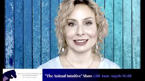 🐾⤵️ Comments for link ⤵️ 🐾