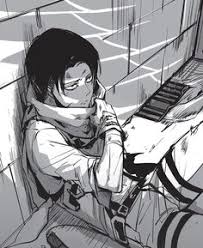 Attack On Titan: No Regrets (Manga) - Anime News Network
