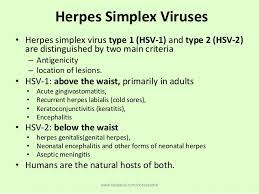 Symptoms of herpes simplex virus type 1. Herpes Virus