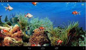 Aquarium Live Wallpaper For Android App Free Download Water Live Wallpaper Live Wallpapers Aquarium Live Wallpaper