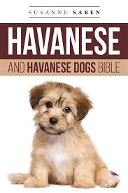 Havanese And Havanese Dogs Bible eBook by Susanne Saben
