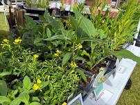 Gogebic Conservation District Plant Sale