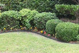 The flexible steel can easily be bent to shape raised garden beds, but is rigid enough to form. Steel Landscape Edging Pro Steel