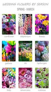 Choosing Wedding Flowers By Season Wedding Forward Wedding Flower Guide March Wedding Flowers Wedding Flowers Season