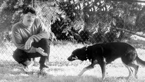 Understanding Dog Appeasement Signals Whole Dog Journal