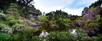 Hakone estate and gardens is a more than 100 years old japanese garden and event venue in the san francisco bay area. Easter At Hakone Japanese Garden Tea With Md