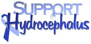 Pin On Hydrocephalus