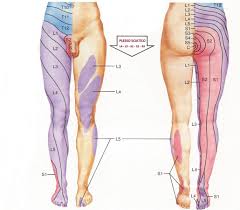 Gentile dottore sono.portatitrice di un disturbo che è stato definito come sciatalgia ma riguarda la schiena ma riguarda schiena. Sciatica Il Dolore Del Nervo Sciatico Sebastian Guzzetti
