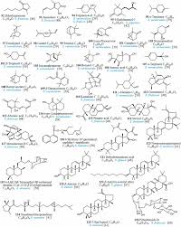 Image result for Suaeda sp. B