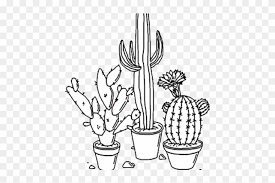 It should resemble a pickle, or a slightly elongated jellybean. Cactus Drawing Transparent Hd Png Download 640x480 5450857 Pngfind