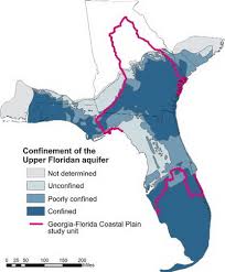 Here are several places to witness the beauty of these gentle sea cows, from natural springs to viewing centers. The Florida Manatee And The Crystal River An Indopacificimages Article