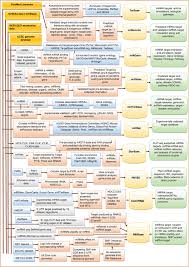 Knowing who is most likely to be a customer of your business matters for your business strategy. Mirnas Target Databases Developmental Methods And Target Identification Techniques With Functional Annotations Springerlink