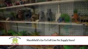 Animal house pets marshfield pasta indekss 54449. Animal House Pets Marshfield Wisconsin Facebook