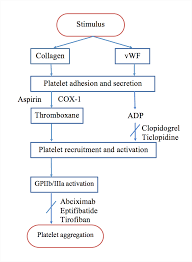 Antiplatelets Anticoagulation Drugs Dental Implications