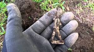 The first step is deciding on and purchasing a metal detector. Metal Detecting Silver Coins Lead Soldier Youtube