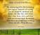 Grieving Words Of Comfort