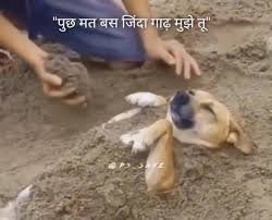 Bhagwan ke vajah se chup hoon bss ! : rindianmemer